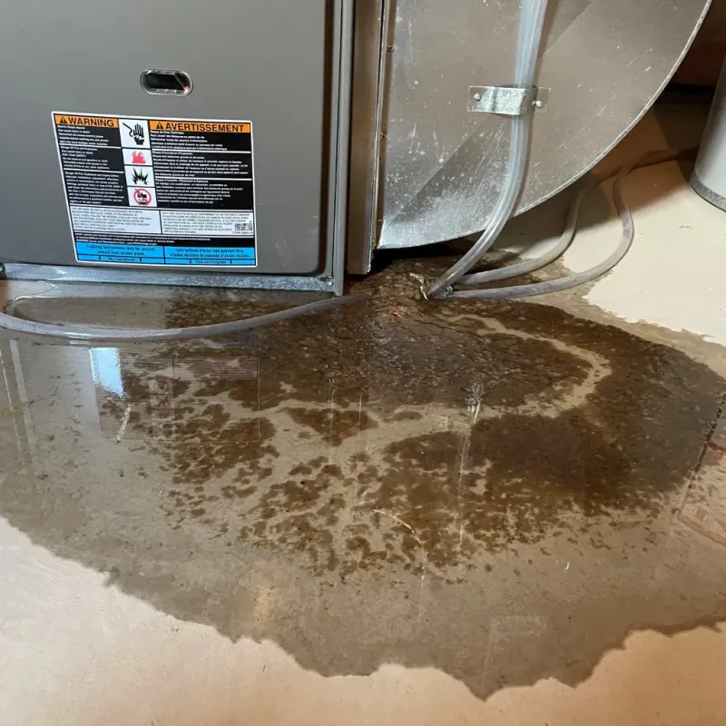 Appliance Leak Cleanup in La Porte, IN